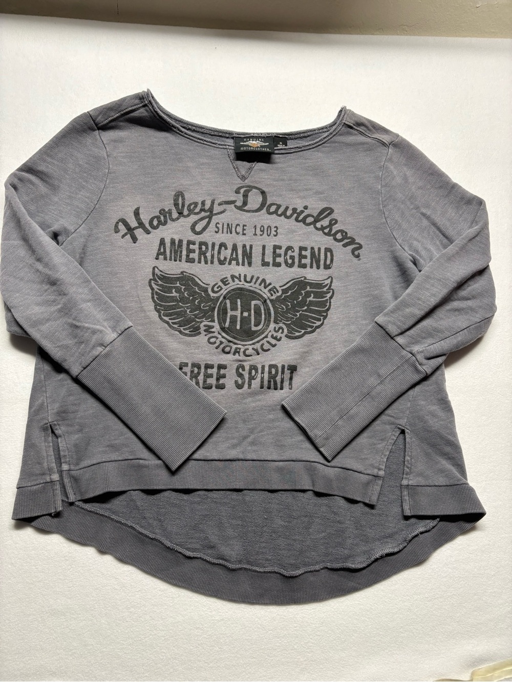 Vintage Harley Davidson
Womens X-L Faded Spell Out
French Terry Sweatshirt